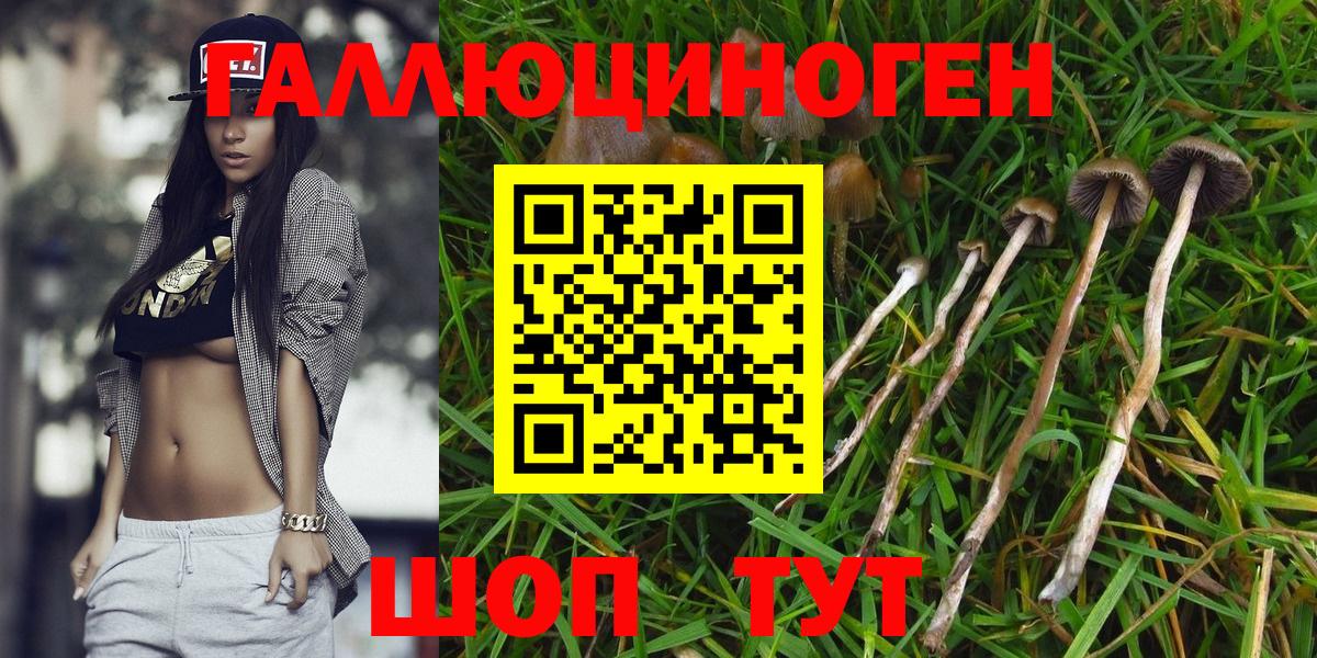Галлюциногенные грибы MAGIC MUSHROOMS  Вход с VPN  Белгород 