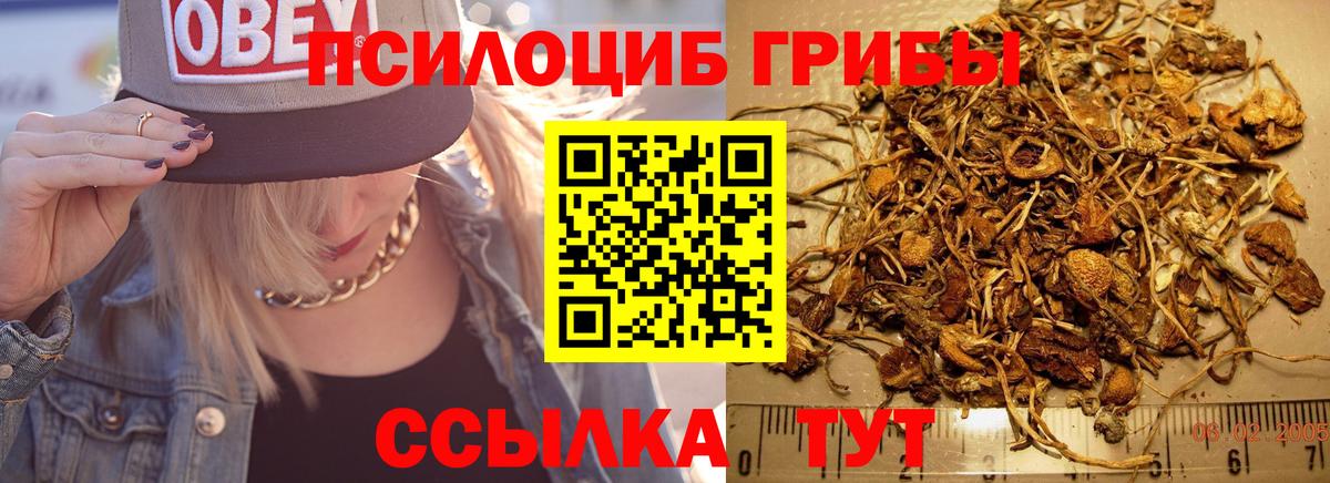 Галлюциногенные грибы Cubensis Белгород